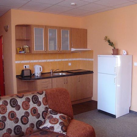 Senk U Svejka Apartment Usti nad Labem Luaran gambar