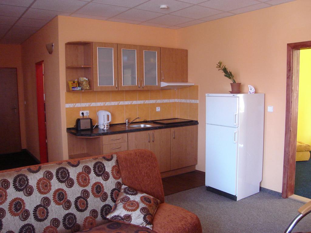 Senk U Svejka Apartment Usti nad Labem Luaran gambar